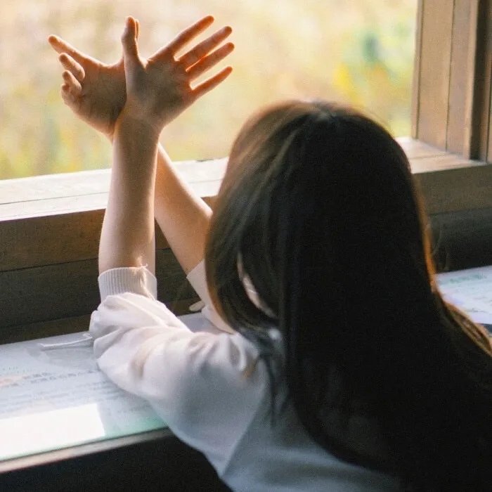 义大利裔美国人 (纪录片)